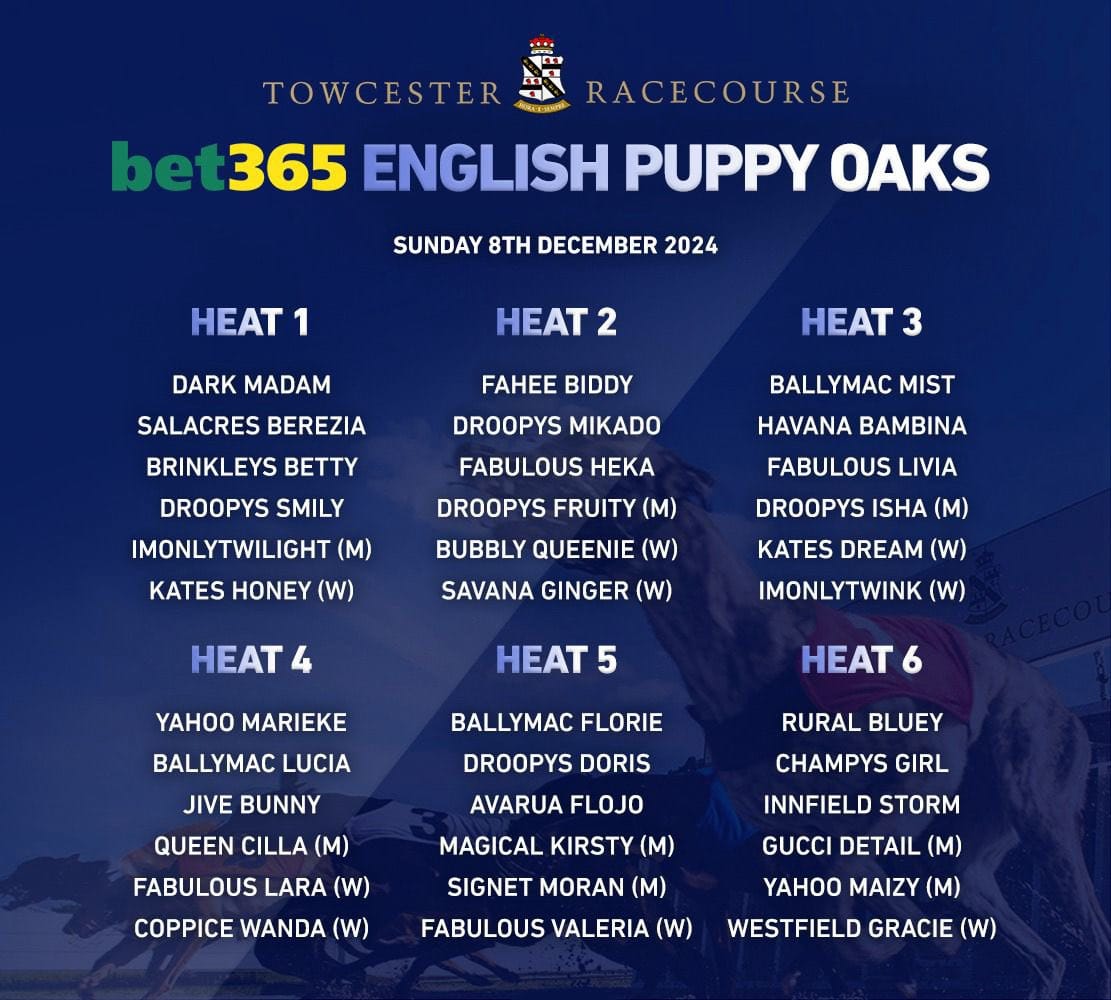 bet365 Puppy Oaks potentially more open than market suggests