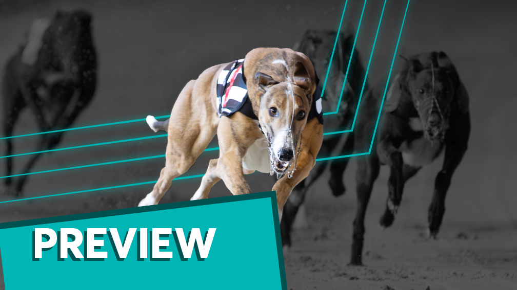 Notesinurpocket can fill wallets with third straight graded win