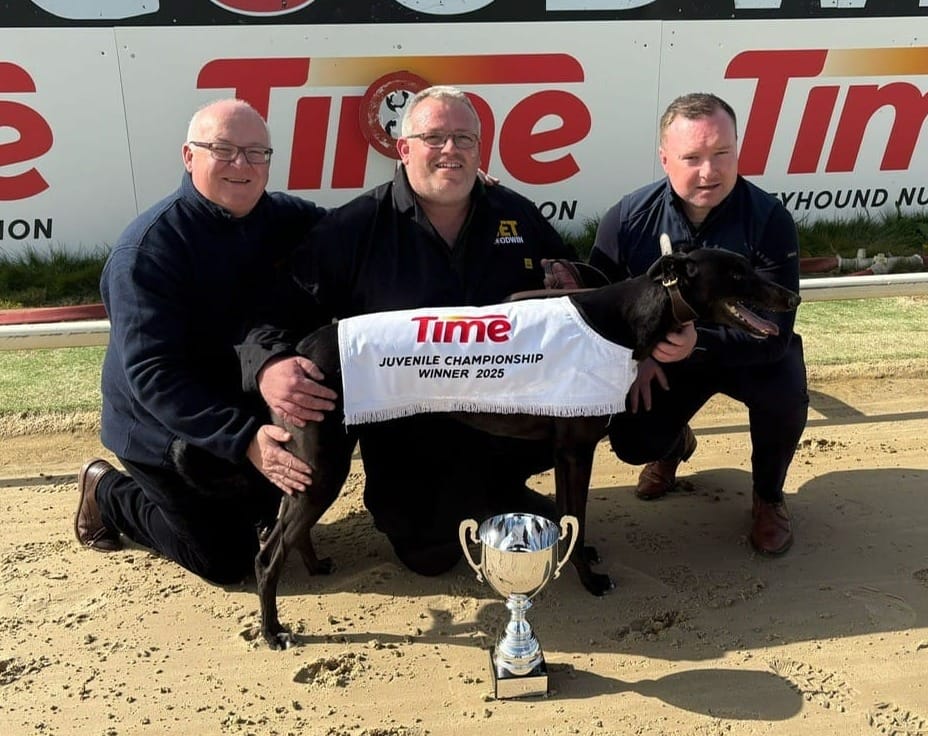 Heiress strikes for Wallis to claim brilliant Juvenile Championship