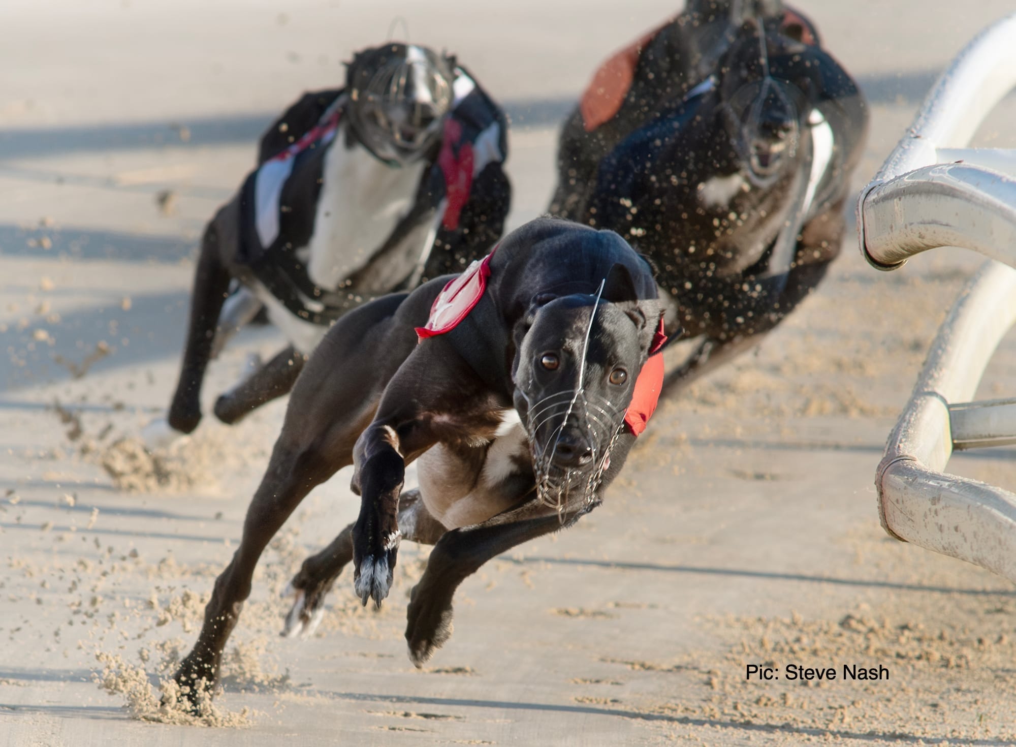 Lahdedah shocks Dowling with brilliant statement opening win
