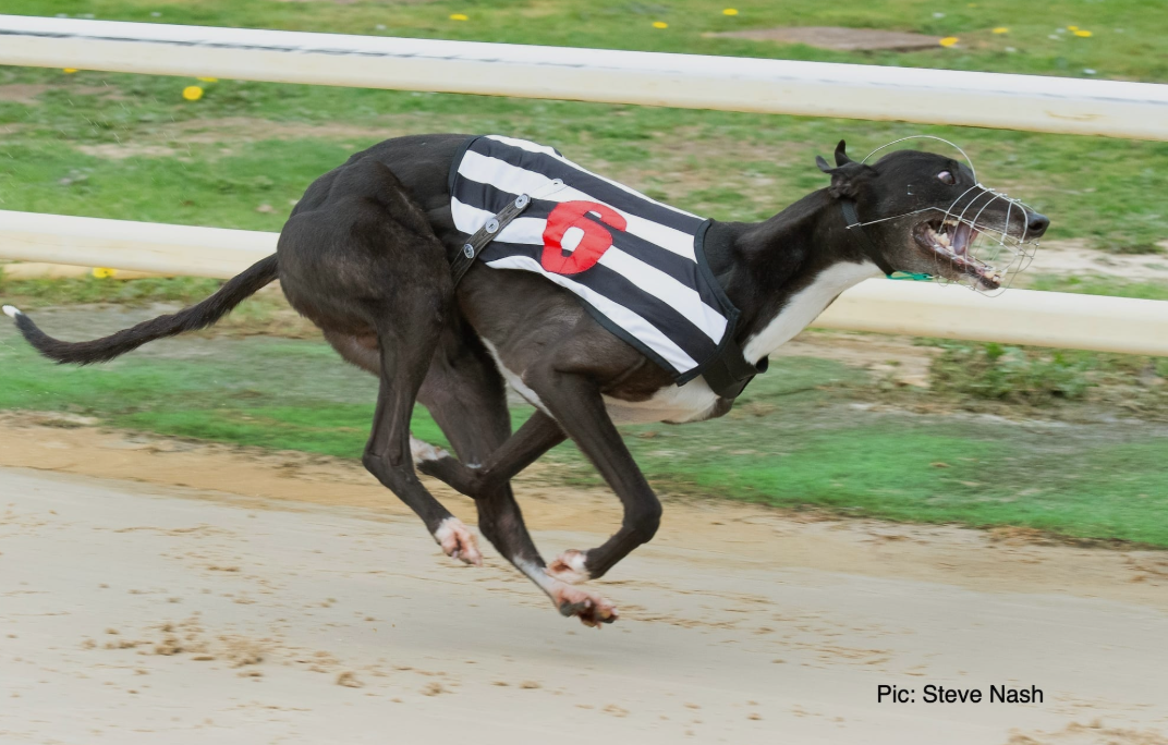 Diamond and Heiress will start Derby campaigns back-to-back