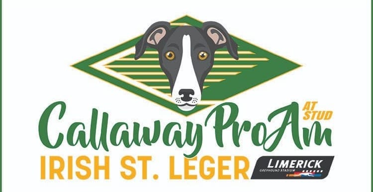 Irish St Leger on sisracing.tv  - Ian Fortune's final preview