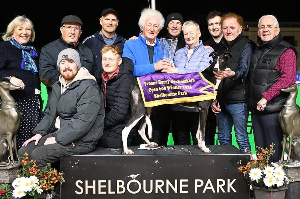 Ian Fortune's Weekly Irish Focus - Wednesday 29th Oct edition