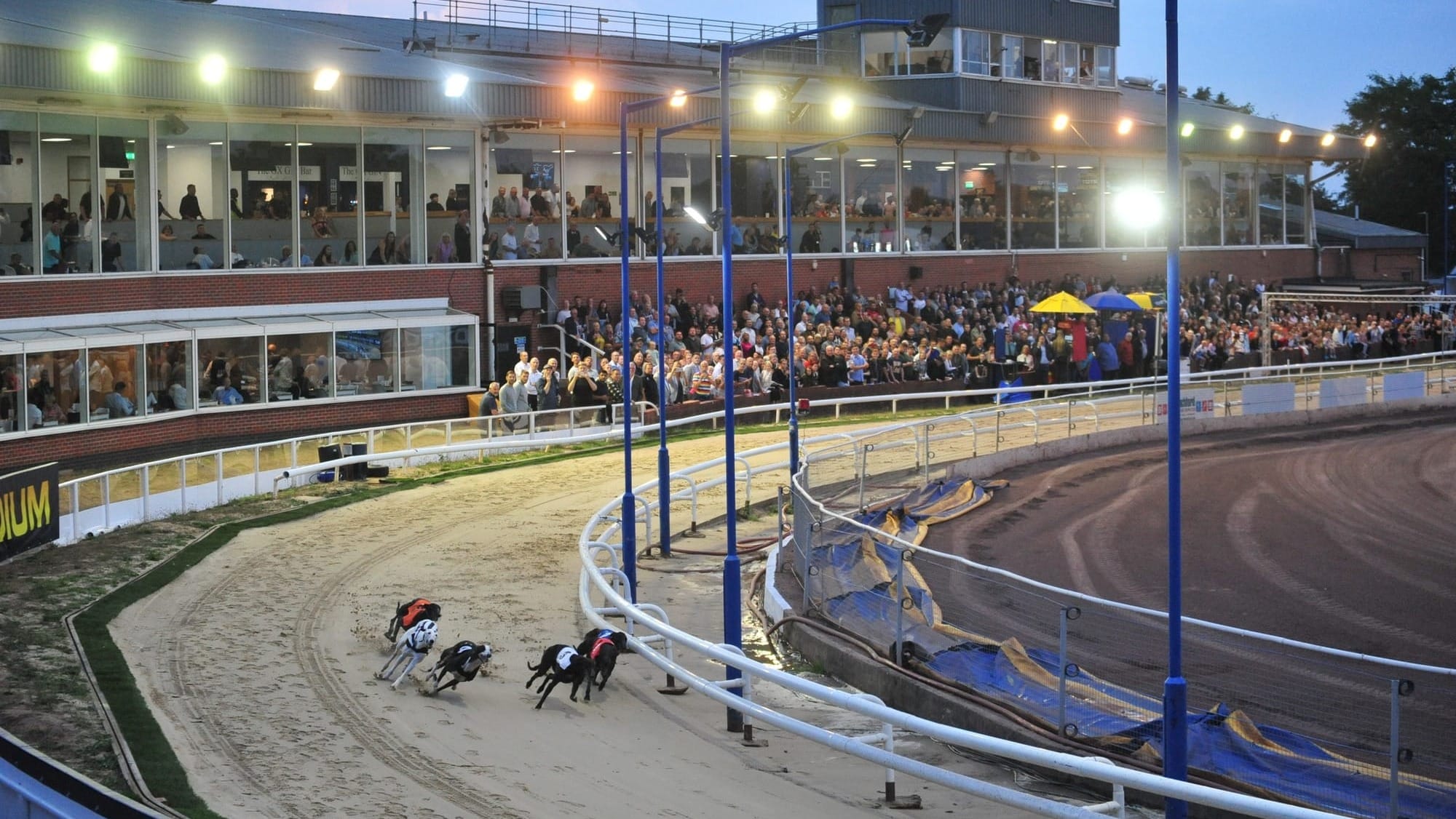 bet365 in English Puppy Oaks move to Oxford from Towcester