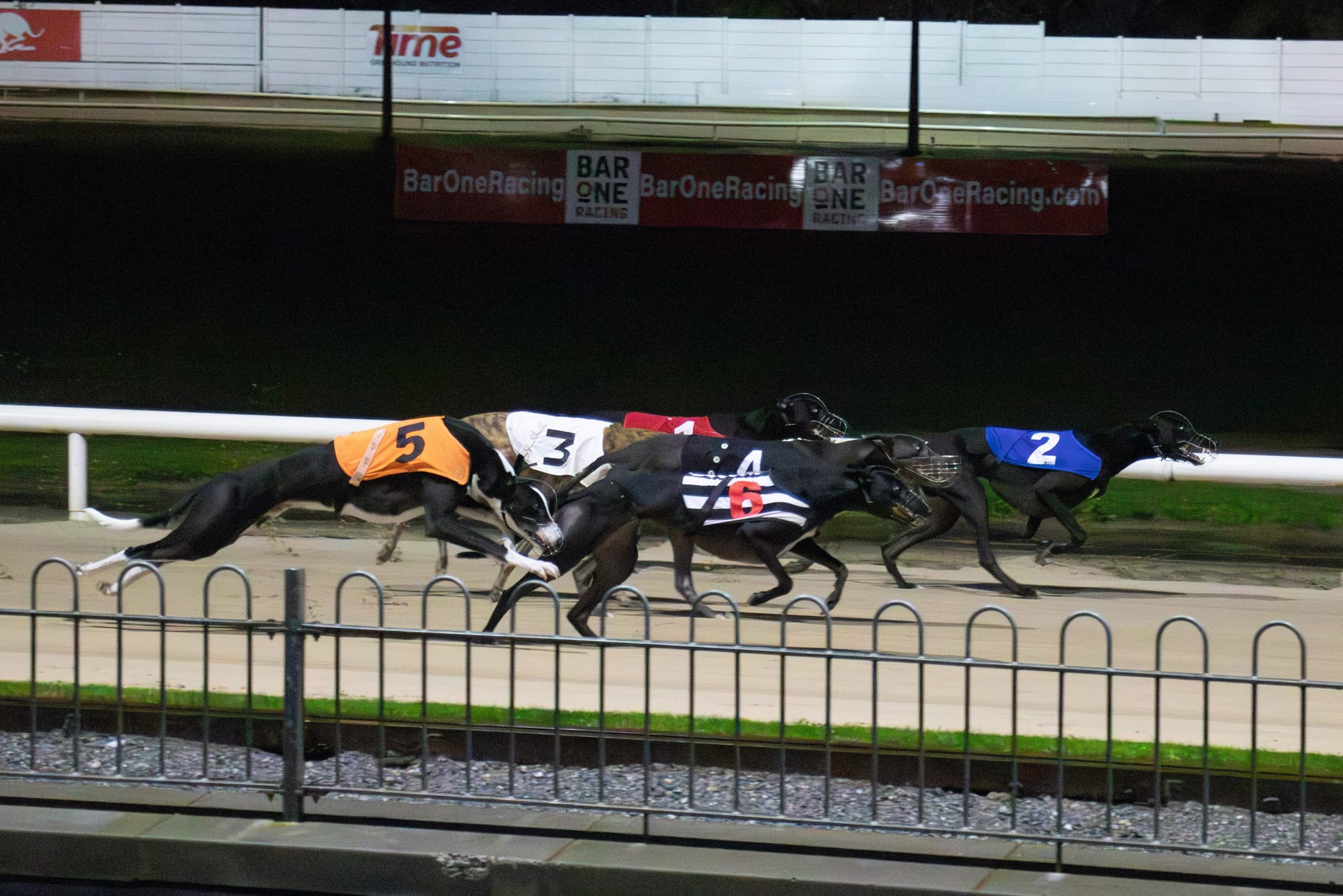 Preview: Irish Laurels final is live on sisracing.tv this Saturday