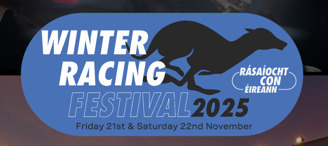 Sandwiches is back to take star billing at Winter Racing Festival