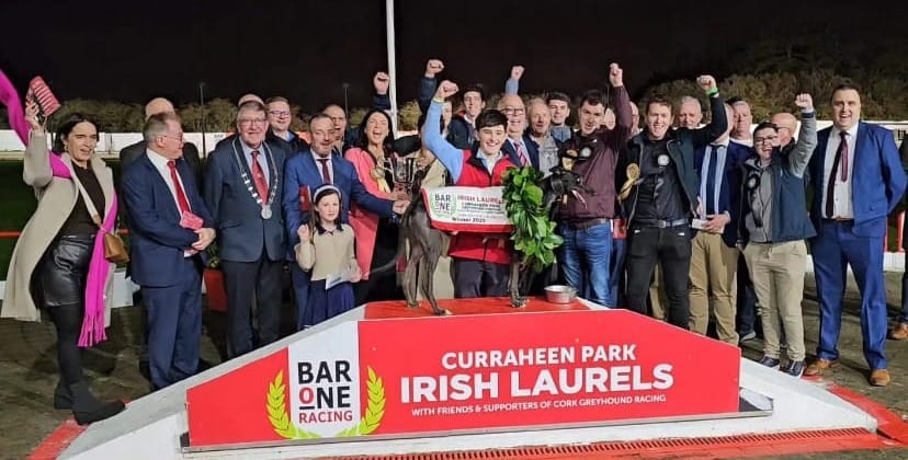 Guilfoyle at the double in Laurels as Magical On Fire powers home