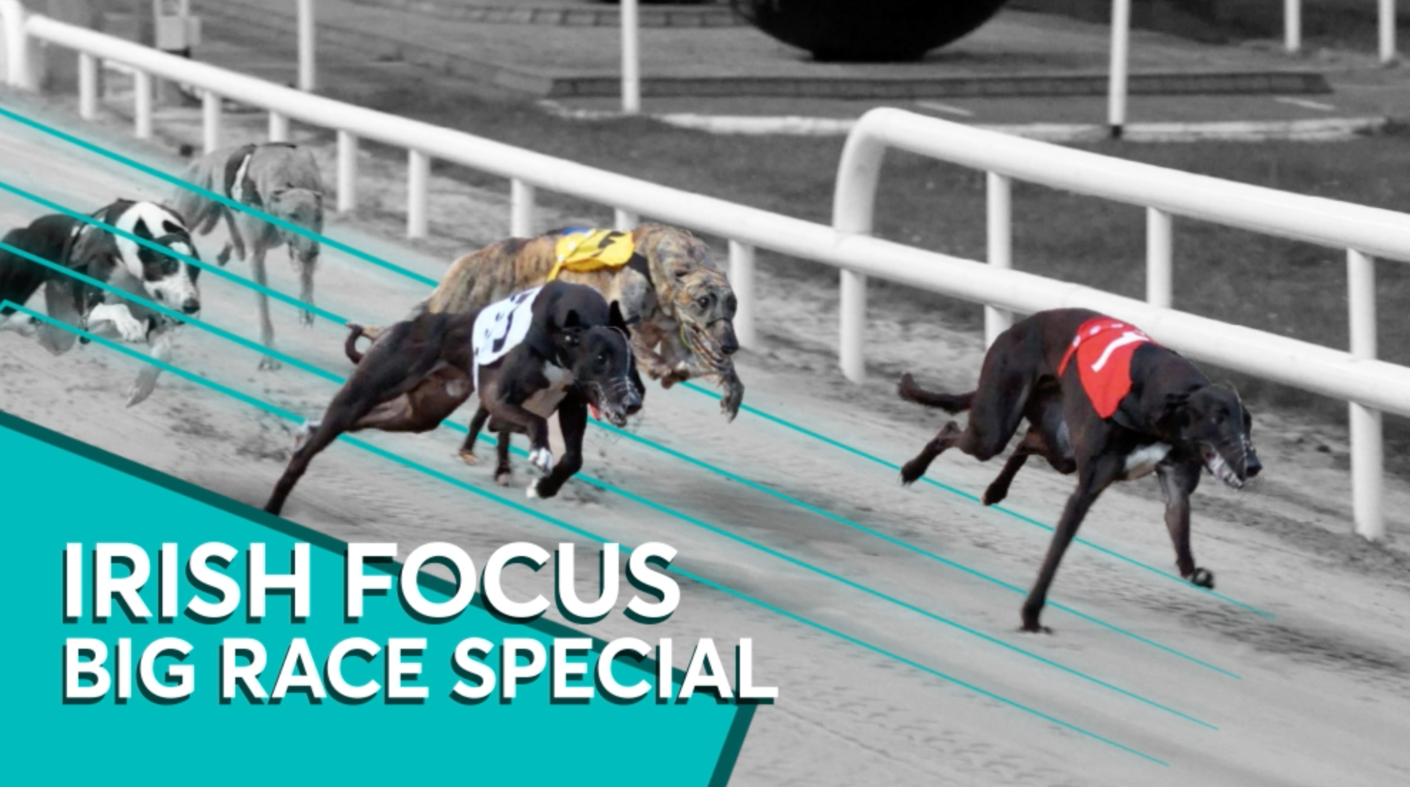 Five of the best Irish races of the year as chosen by Ian Fortune