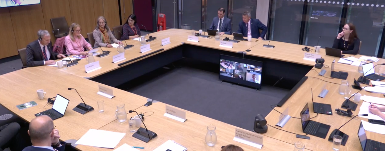 Senedd committee says haste has "compromised" ban plan