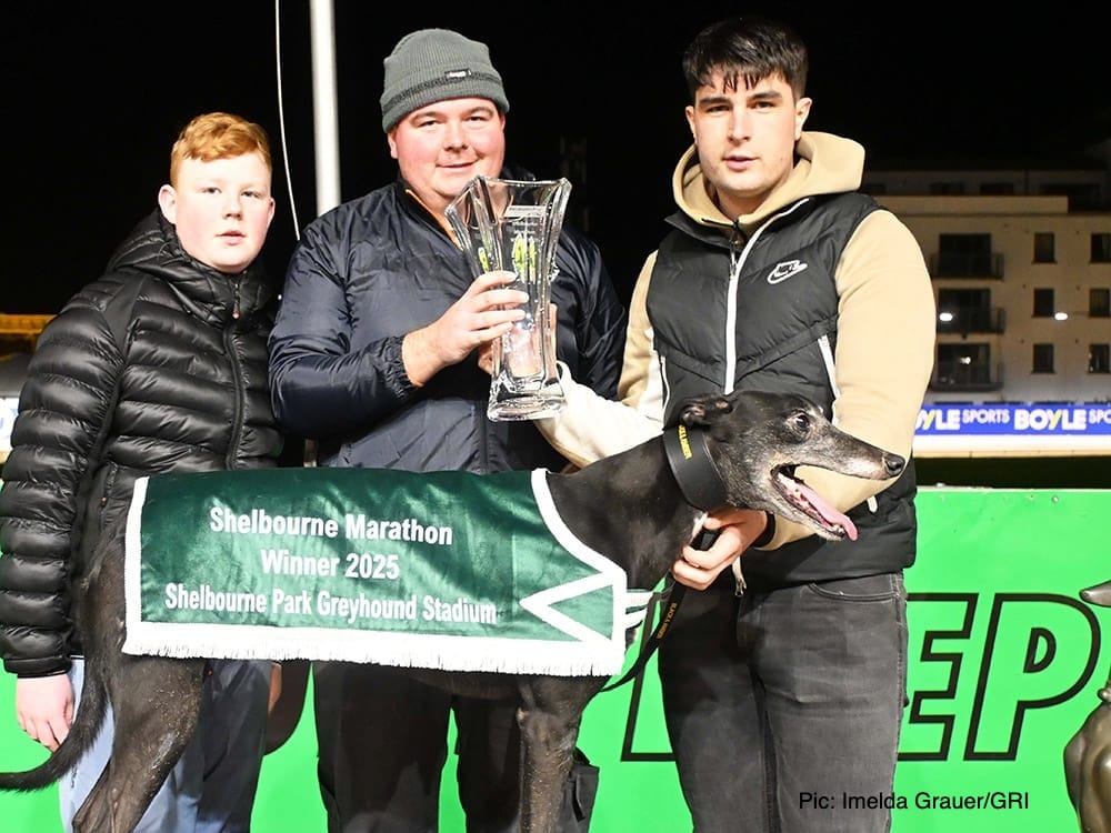 Ian Fortune's Weekly Irish Focus - Wednesday 17th Dec edition