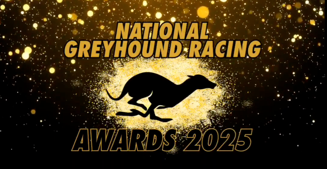 Nominations announced for the Irish National Greyhound Awards