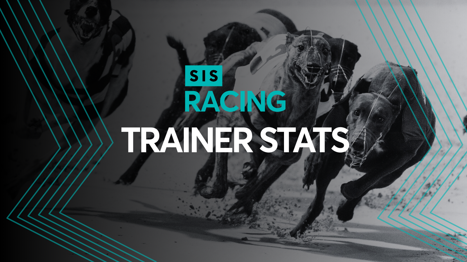 SIS trainer winning strike rates - 09/02/26 - 22/02/26