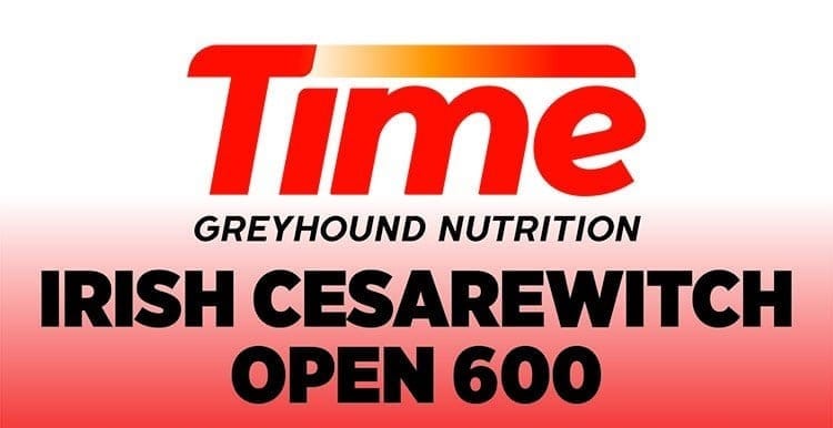 Preview - Sunday at Mullingar, the Time Irish Cesarewitch final