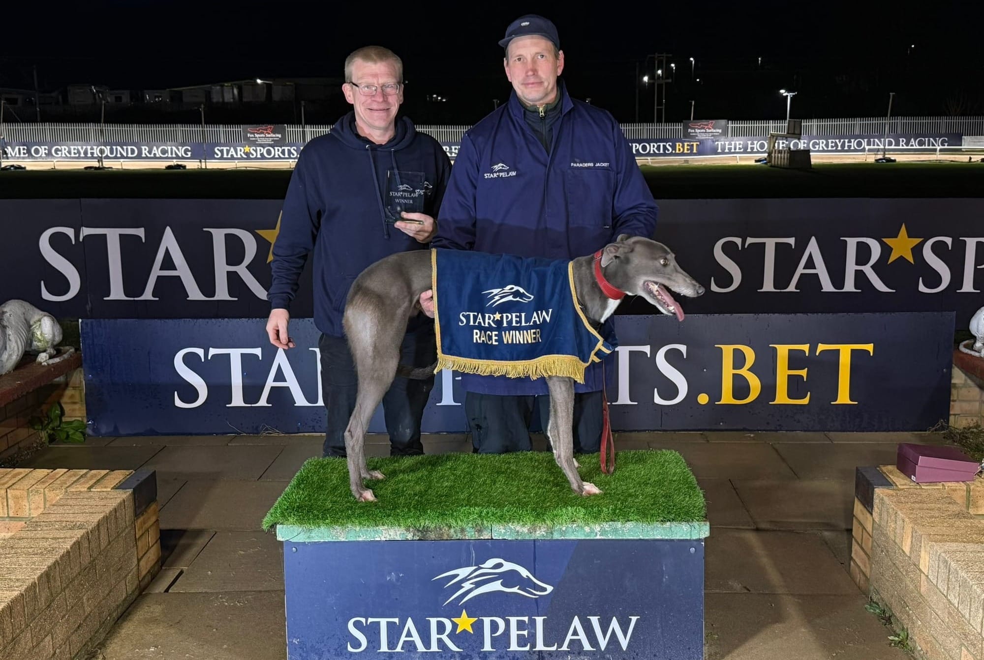 Mickys Tribute in record books as Star Pelaw revives hurdling