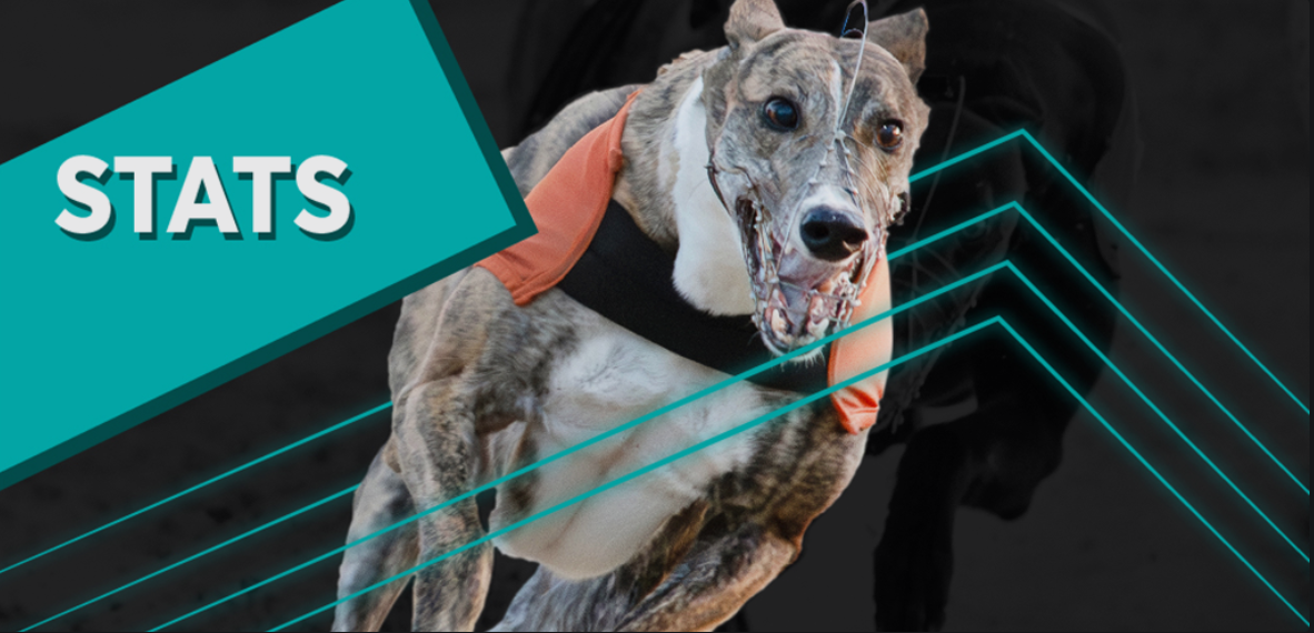 Latest statistics from all 15 of the SIS greyhound service tracks
