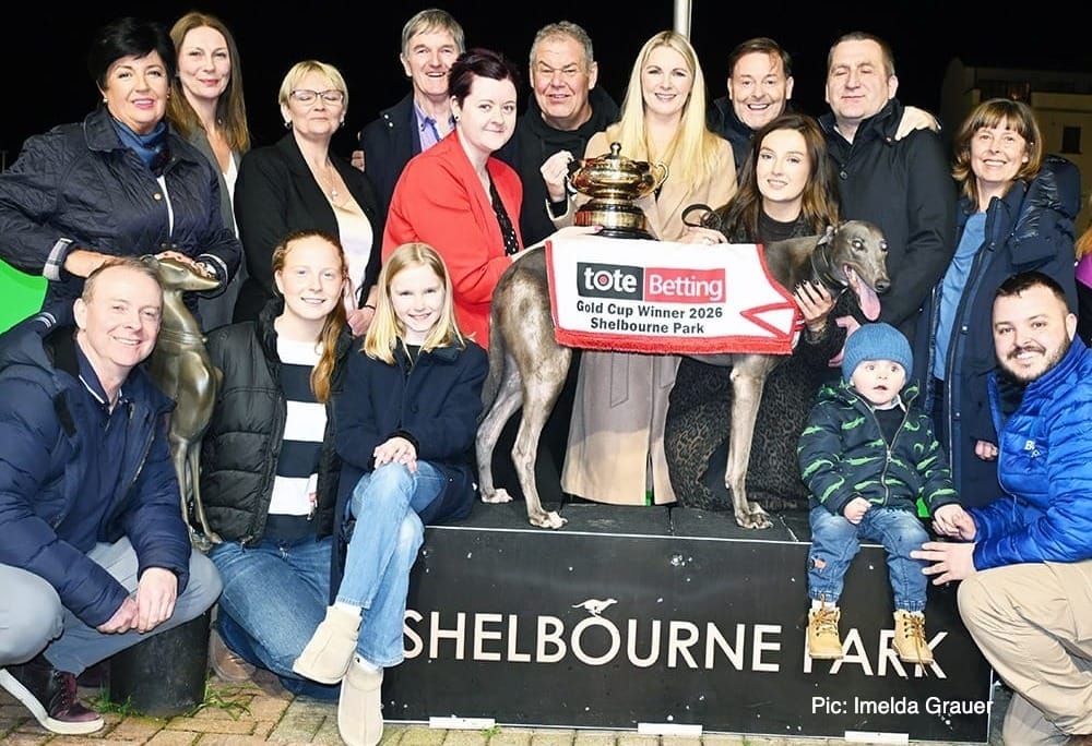 Coloursaregreen gives Hennessy remarkable eighth Gold Cup title