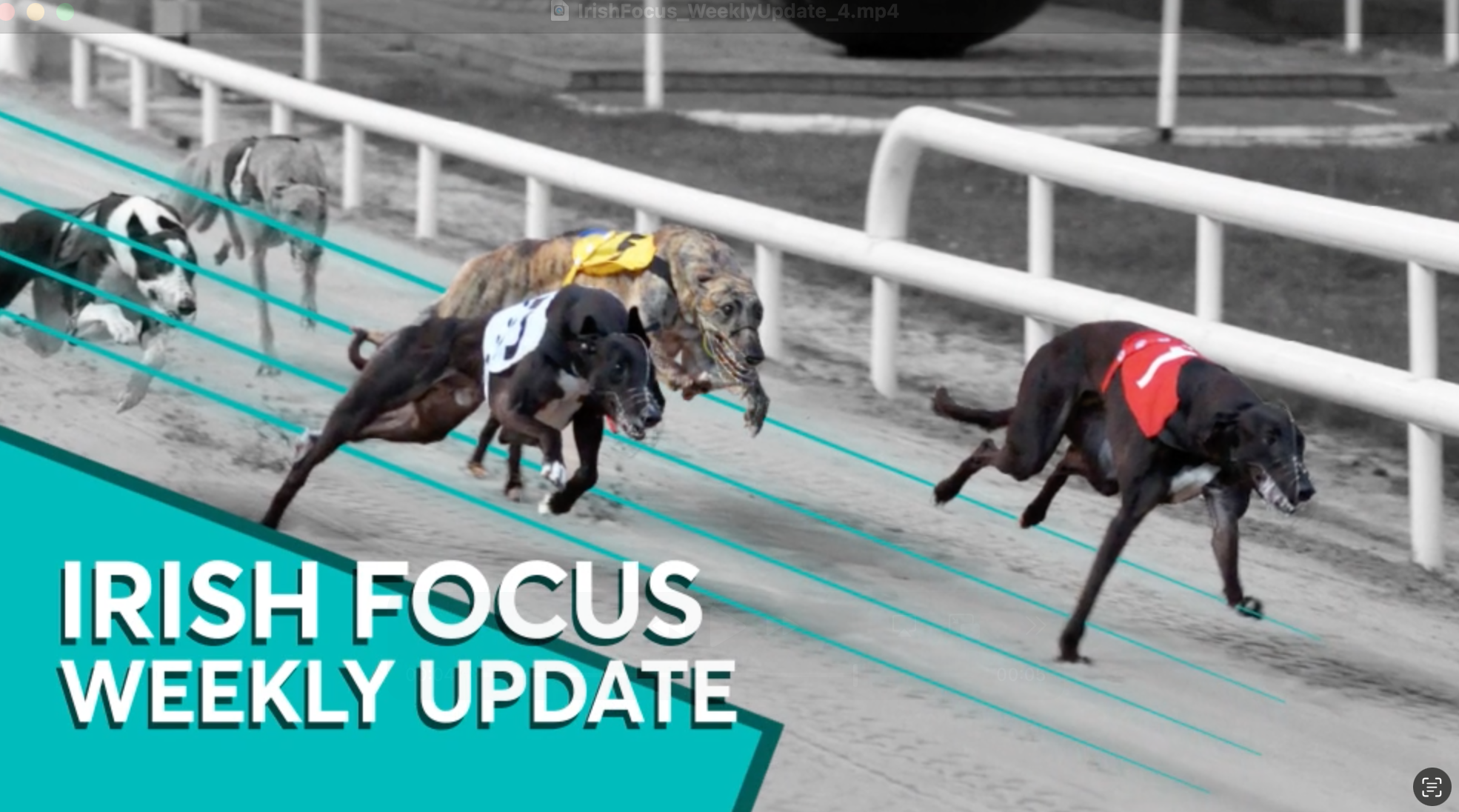 Ian Fortune's Weekly Irish Focus - Wednesday 8th April edition