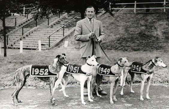 Star Sports & TRC English Greyhound Derby, Towcester
