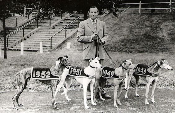 2024 Star Sports & TRC English Greyhound Derby, Towcester