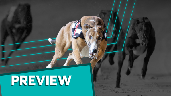 Sue's sprint pace can prove key to landing A7 Harlow success