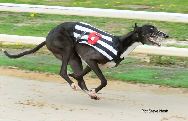 Bockos Diamond goes best as Juvenile hopefuls clock in