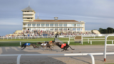 March 2025: Towcester