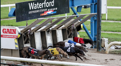 Jan-Mar 2025: Waterford