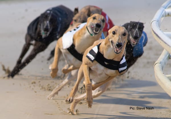 Desire quickest as Hennessy, Janssens and Locke double up