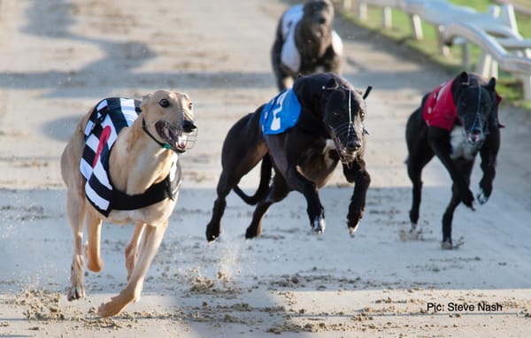 Punters looking inside in early market moves for Derby R3