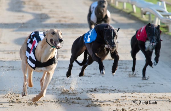Joe's explosive early sees him set the night one standard in R2
