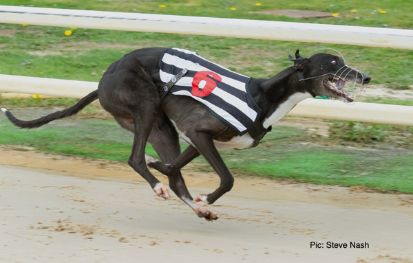 Diamond and Heiress will start Derby campaigns back-to-back