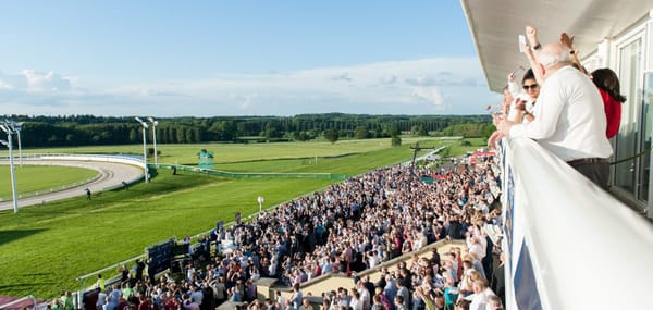 Derby Festival ticket details confirmed for participants