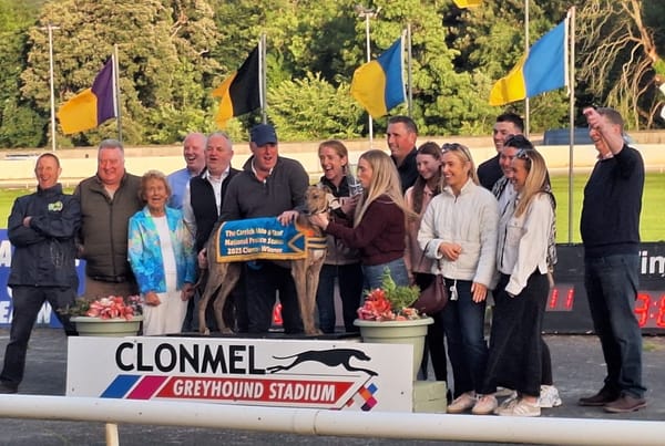 Lemon tops Murt's superb night at Clonmel with Produce victory