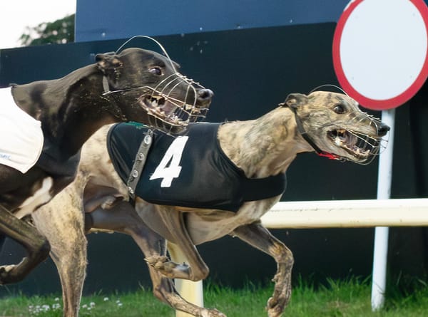 Dynamic performance sees Force fastest for Hennessy in quarters