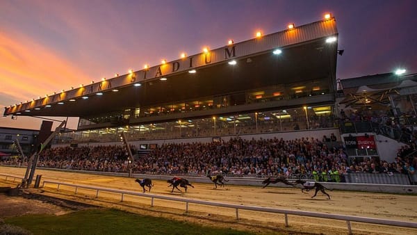 SIS greyhound chief Brankley hails GRI 'clear strategic vision'