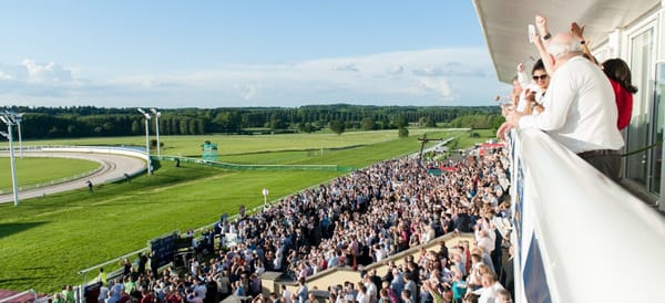 Derby final full-day festival will offer something for all the family