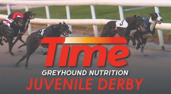 Juvenile Derby on sisracing.tv  - Ian Fortune's semi-final preview