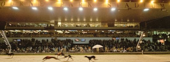 High temp forecast leads to abandonment of Shelbourne