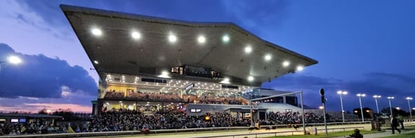 Irish St Leger to carry name of top stud dog Callaway Pro-Am