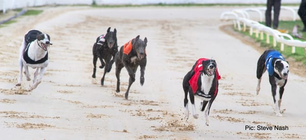 Easy as 1-2-3 for Janssens as Alliance completes Juvenile job