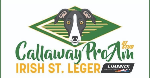 Irish St Leger on sisracing.tv  - Ian Fortune's final preview