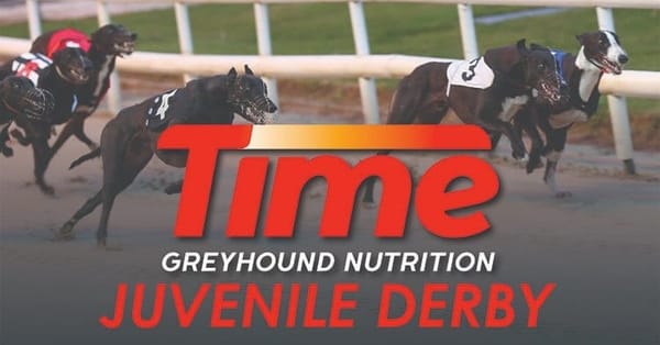 Juvenile Derby on sisracing.tv  - Ian Fortune's final preview