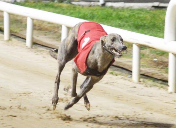 Tokyo rolls over rivals to post Saturday's best Irish Derby time
