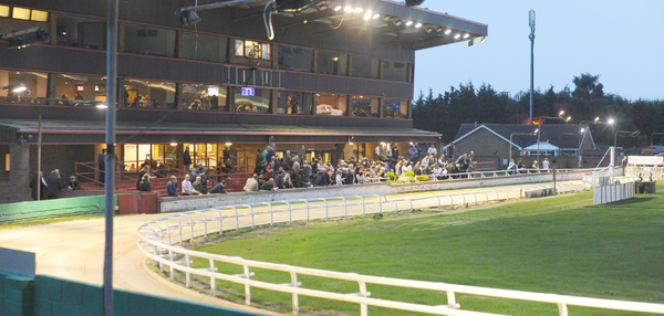 Doncaster sales this Friday - all the details of lots and timings
