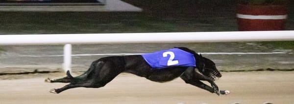 Freya now odds-on for Empress after setting first round standard
