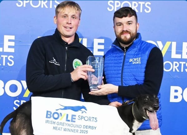 Reigning champion Bockos out of Irish Derby after gallops injury