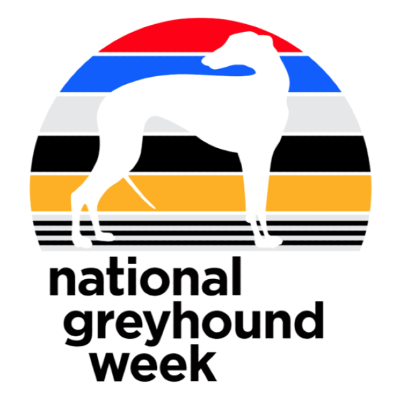 National Greyhound Week a big success with sights set on 2026
