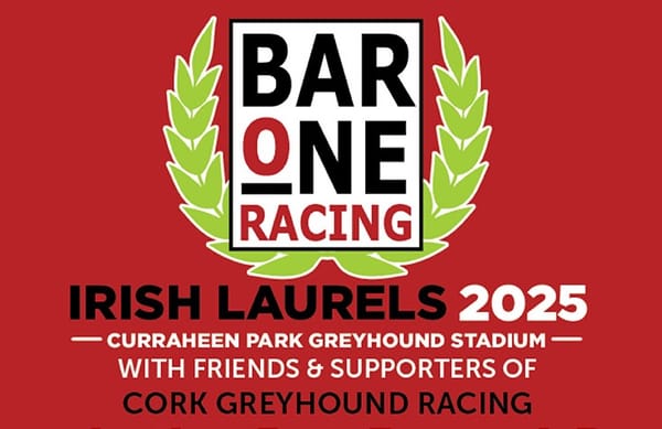 Rapid duo Setanta and Patriot now head Irish Laurels betting