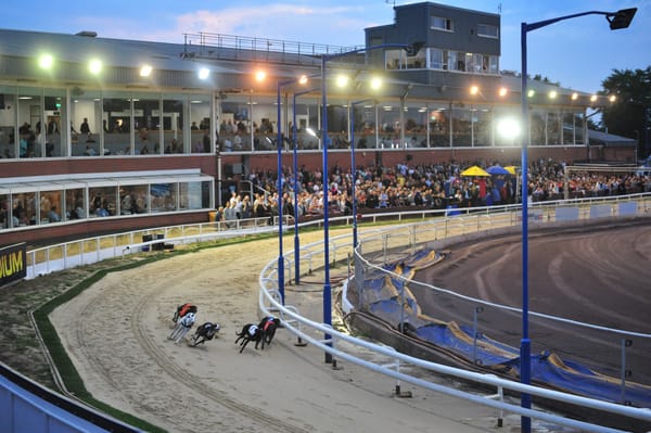 Locke doubles up as times are close in Puppy Collar first round