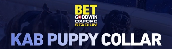 PREVIEW - Wide-open Collar is still 9/2 the field ahead of semis